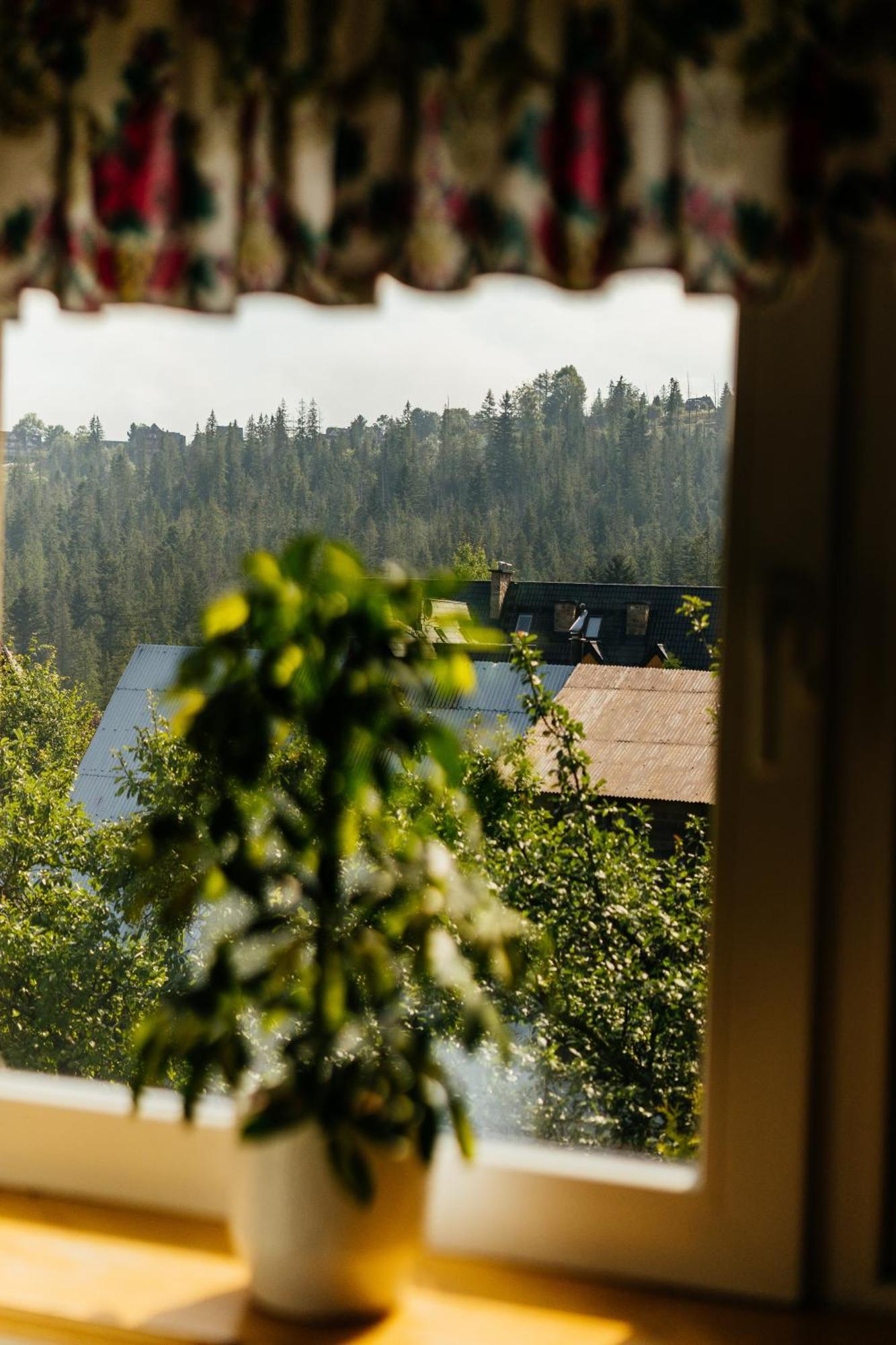 Willa Marta M Sauna Jacuzzi Zakopane Eksteriør billede